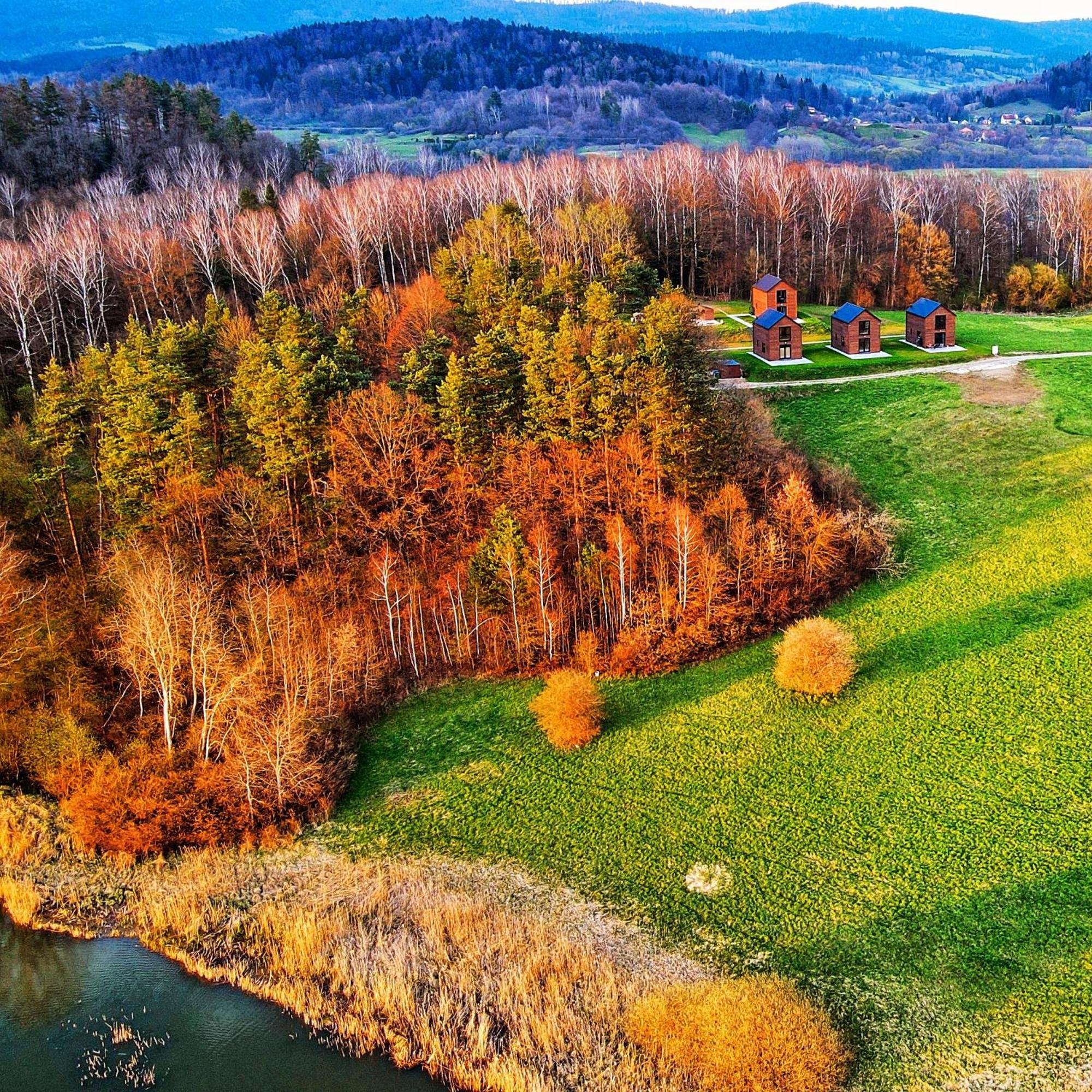 Dzikie Lisko - Domy Wakacyjne Lesko Exteriér fotografie